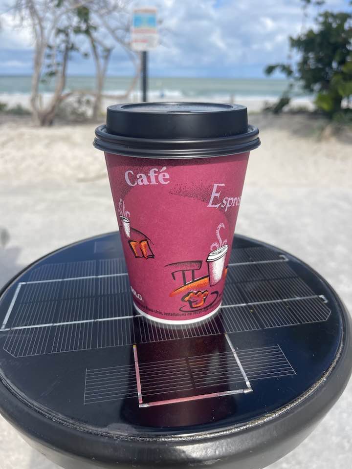 Solo 12 Ounce Hot Cafe Cup  300 / Case (1 Case)